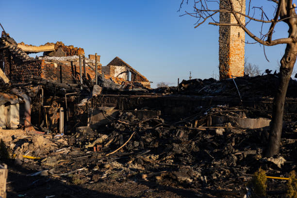 Reliable Odor Removal contractor in Clearwater Beach, FL by Meridian Smoke Damage